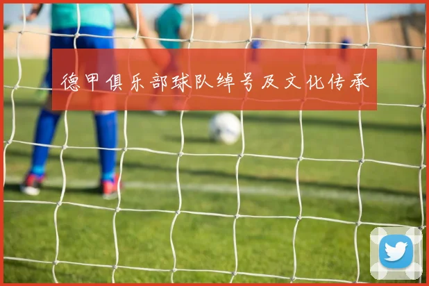 德甲俱乐部球队绰号及文化传承