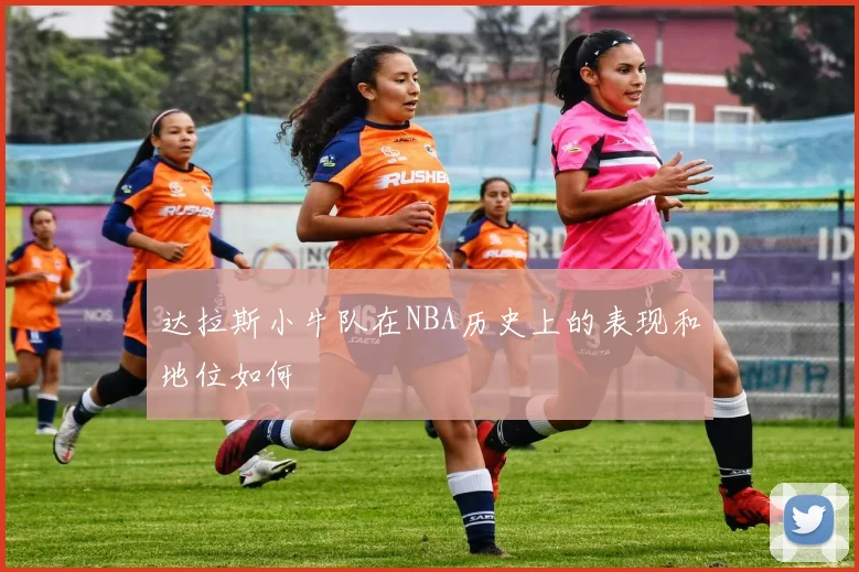 达拉斯小牛队在NBA历史上的表现和地位如何